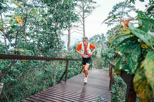 BIB: 
                            <button type="button" onclick="openModal(25651399)" class="btn btn-primary btn-sm float-right btn-popup" data-toggle="modal" data-target=".modal-high-quality">
                        <i class="fas fa-shopping-cart"></i> Add to Cart
                    </button>
                                            <button type="button" onclick="isThisMe(25651399, true)" class="btn btn-success btn-sm float-right btn-popup btn-isme hidden" data-toggle="tooltip" data-placement="bottom" title="นี่คือรูปของคุณใช่ไหม คลิกที่นี่เพื่อเอาเข้าอัลบั้ม">
                        <i class="fas fa-plus"></i> Add to album
                    </button>
                    <button type="button" onclick="isThisMe(25651399, false)" class="btn btn-warning btn-sm float-right btn-popup btn-isnotme hidden">
                        <i class="fas fa-ban"></i> Remove from album
                    </button>